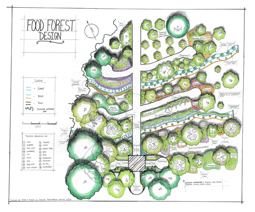 Food Forest